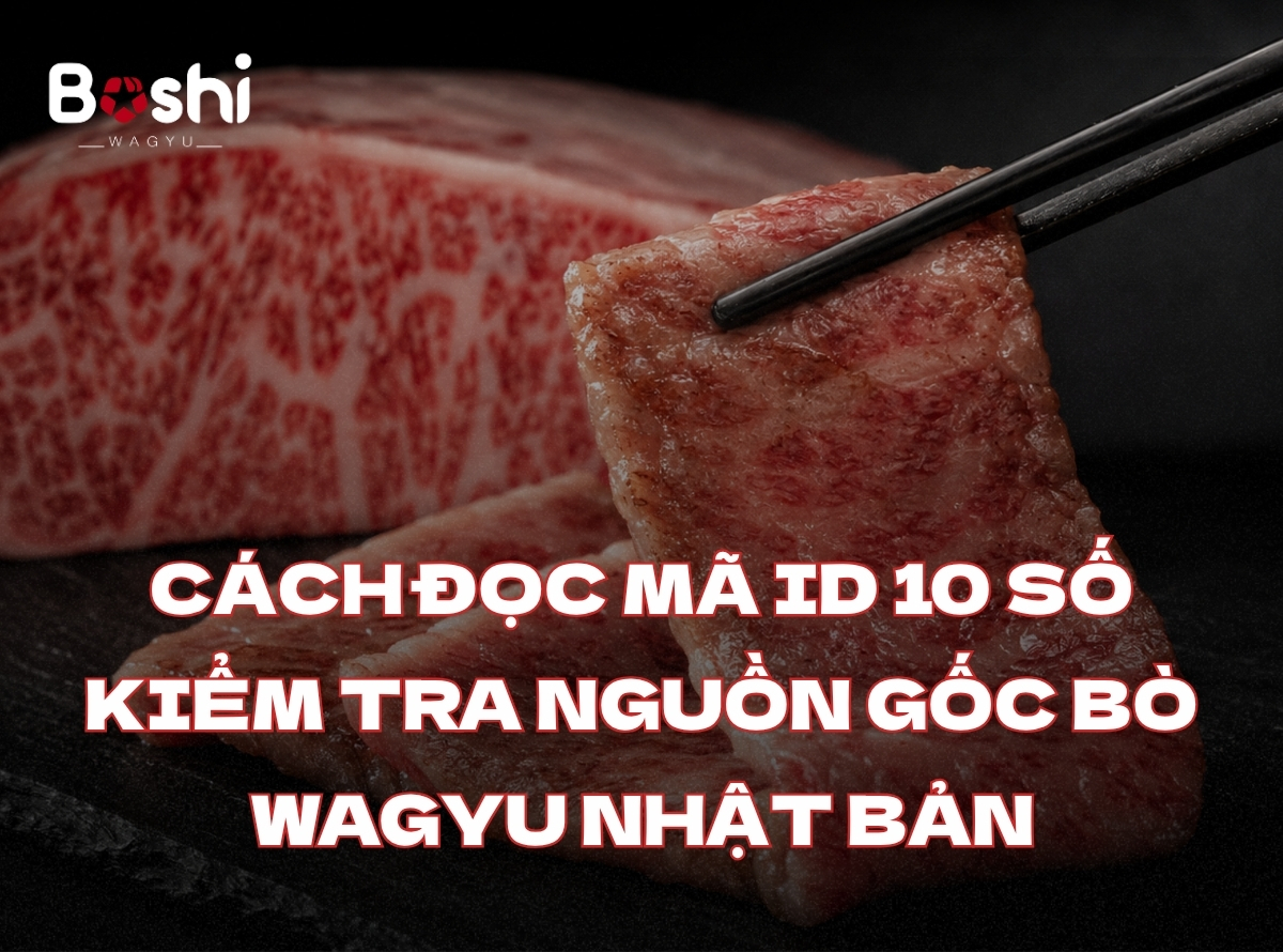 BẬT MÍ CÁCH ĐỌC MÃ ID 10 SỐ KIỂM TRA NGUỒN GỐC BÒ WAGYU NHẬT BẢN CHÍNH NGẠCH